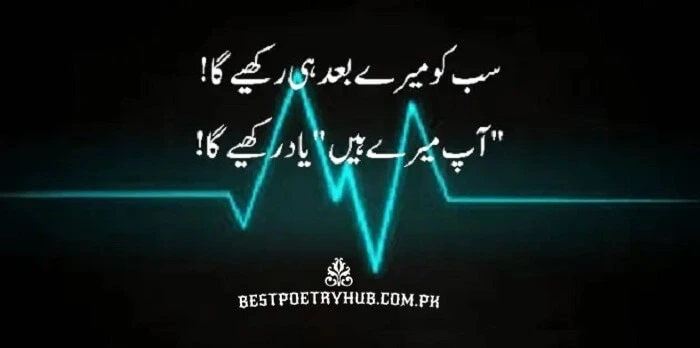 Best Sad Urdu Poetry in 2 Lines Just Copy & Paste