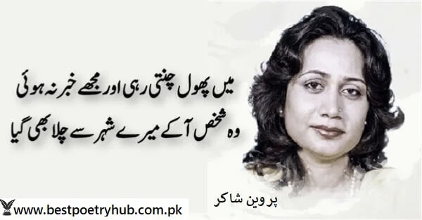 Parveen Shakir Shero Shayari On Images and Urdu Text Ideas