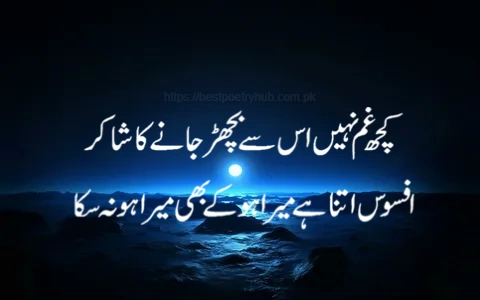 2-Line Afsos Poetry With Roman Text on Images 4 DP Now