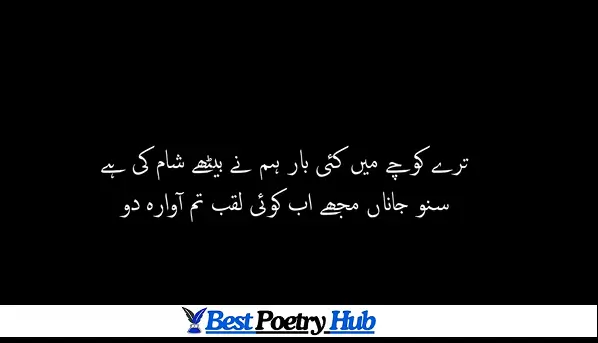 2 Line Superb Poetry in Roman Urdu For Just Copy Paste