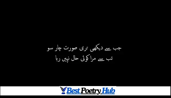 2 Line Superb Poetry in Roman Urdu For Just Copy Paste