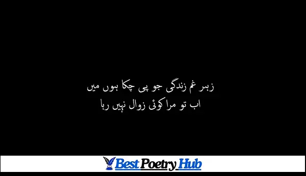 2 Line Superb Poetry in Roman Urdu For Just Copy Paste