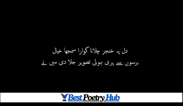 2 Line Superb Poetry in Roman Urdu For Just Copy Paste 