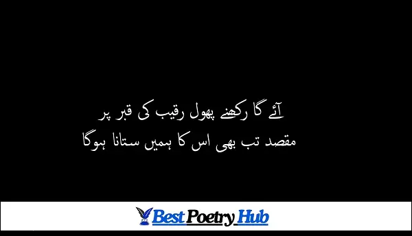 2 Line Famous Urdu Poetry About Love In Life For Whatsapp DP