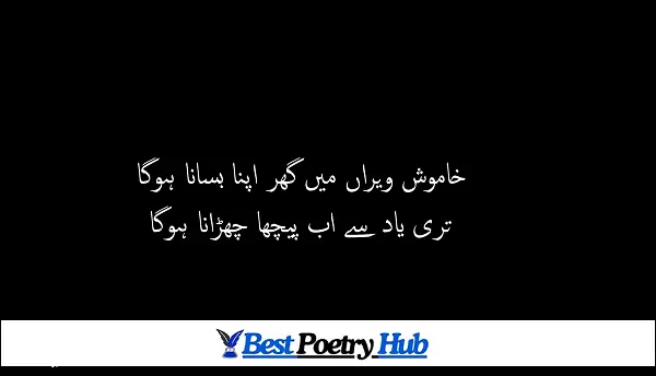 2 Line Famous Urdu Poetry About Love In Life For Whatsapp DP