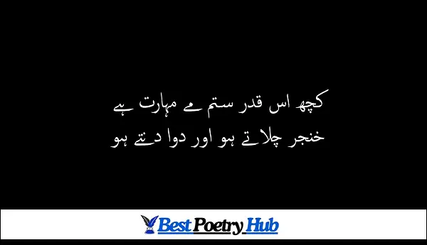 2 Line Famous Urdu Poetry About Love In Life For Whatsapp DP