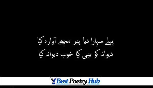 Top 12 Famous Dard Bhari Shayari Urdu 2 Line Pictures For DP