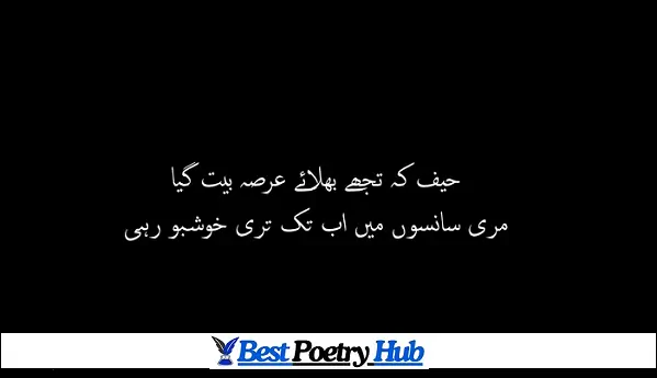 Top 12 Famous Dard Bhari Shayari Urdu 2 Line Pictures For DP