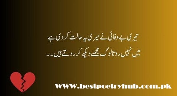 [2-Line] Bewafa Poetry In Roman Urdu Text On Snaps For DP