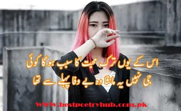 [2-Line] Bewafa Poetry In Roman Urdu Text On Snaps For DP