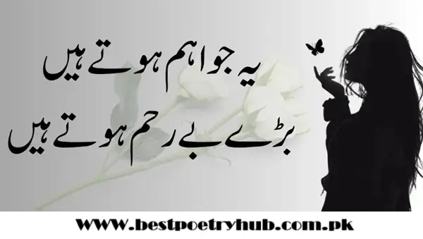 [2-Line] Bewafa Poetry In Roman Urdu Text On Snaps For DP