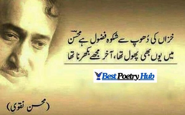 [Best] Mohsin Naqvi Shayari & Poetry With Roman Urdu Ideas