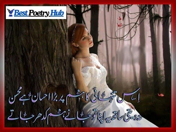 [Best] Mohsin Naqvi Shayari & Poetry With Roman Urdu Ideas