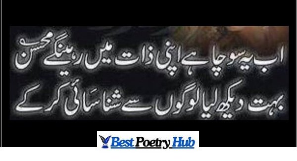[Best] Mohsin Naqvi Shayari & Poetry With Roman Urdu Ideas