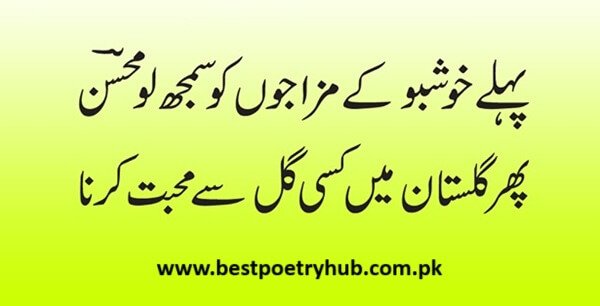 Mohsin Naqvi Magical Poetry in Urdu Text With Deep Words