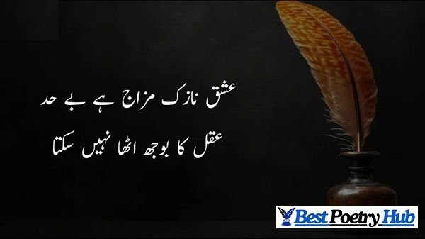 [nEW 2026] Heart Beat Impressions of Unique 2 Line Urdu Poetry