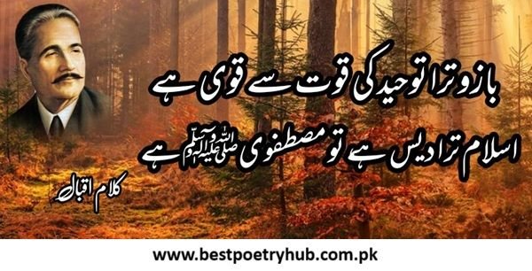Allama Iqbal Poetry, Shayari & Ghazal in Urdu [Text & Hindi]